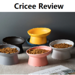 Cricee Review