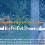 Rojaspomeranians
