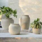 Storewarehouses.shop legit? storewarehouses Review 2024: Is it Legit or scam?