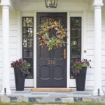 Palygrou.com legit? palygrou Review 2024: Is it Legit or scam?