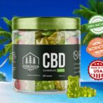 EverGreen CBD Gummies