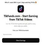 Tikfunds