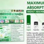 Murwon Moringa Patch