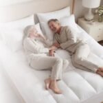 Purelia Liver Supplement